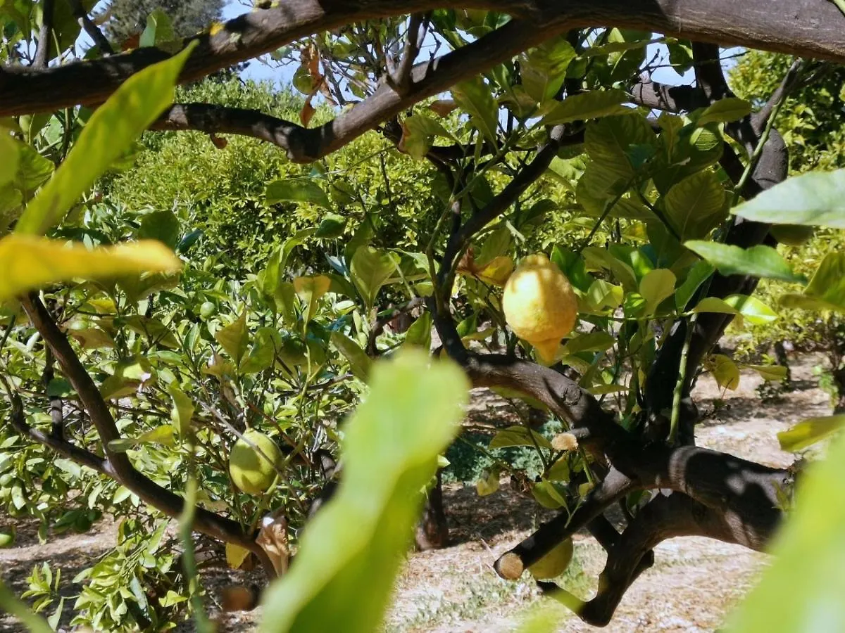 לינה וארוחת בוקר אגריג'נטו Villa La Lumia B&B Suites & Apartments