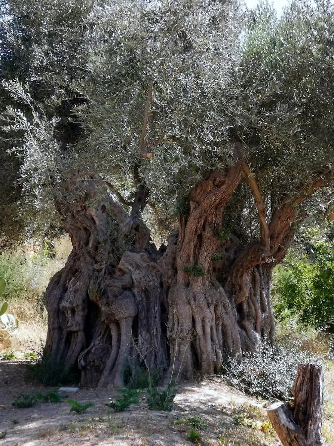 אגריג'נטו Villa La Lumia B&B Suites & Apartments 2*,