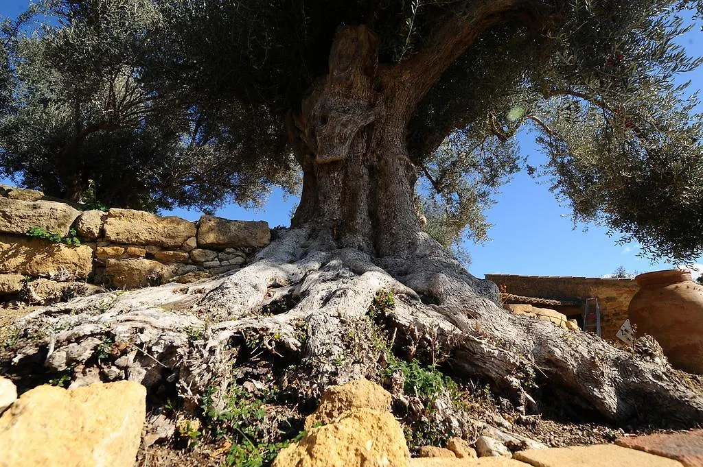 ** Frühstückspension Villa La Lumia B&B Suites & Apartments Agrigent Italien
